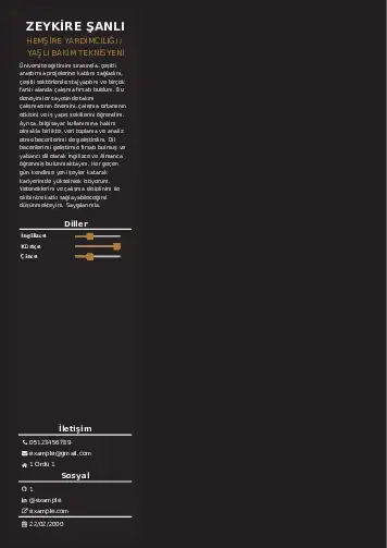 Hasta ve Yaşlı Bakım Elemanı Cv Örnekleri cv indir